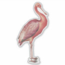 Sök efter spoonbill Fågel