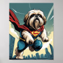 Sök efter min shih tzu posters Konstig