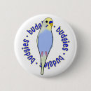 Sök efter parakiter knappar Budgie