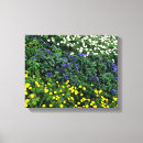 Sök efter fine art canvastryck Blommar