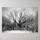 Sök efter frostig fotografi Snö