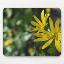 Sök efter daisy musmattor Blomma