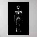 Sök efter skeleton posters Vit
