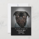 Sök efter pet kort For pets