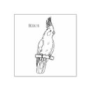 Sök efter papegojor hobbymaterial Fågel