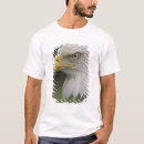 Sök efter fåglar av en fjäder kläder Fågel