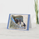 Sök efter katt födelsedagskort För alla