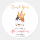 Sök efter kattår Kitten party