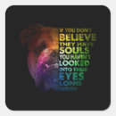 Sök efter pitbull klistermärken Kärntjur