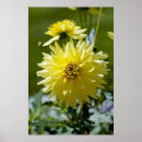 Sök efter gul blom posters Natur