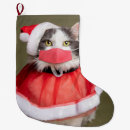 Sök efter god julkatt Tomhat