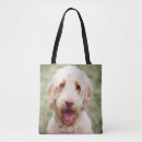 Sök efter goldendoodle tygkassar Sällskapsdjur