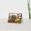 Sök efter hamster kort Unik