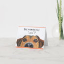 Sök efter hund alla hälsningskort Humor