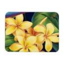 Sök efter plumeria magneter Hawaii