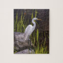 Sök efter heron Natur