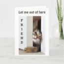 Sök efter förtjusande kattunge fotografi Veterinär