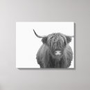 Sök efter cowes canvastryck Koka