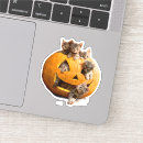 Sök efter jack o lantern klistermärken Rolig