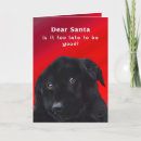 Sök efter roligt labb kort Labrador
