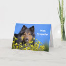 Sök efter hylla Hund