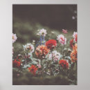 Sök efter botaniska fotografi posters Blommor