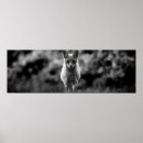Sök efter panorama posters Svart