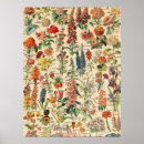 Sök efter botanical posters Flower