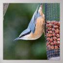 Sök efter feeder posters Natur