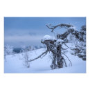 Sök efter lapland posters Vinter