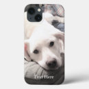 Sök efter labrador retriever iphone fodral Valp