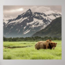 Sök efter alaska posters Skog