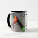Sök efter nordligt muggar Natur