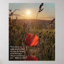 Sök efter poppies posters Natur
