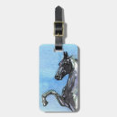 Sök efter saddlebred Equine