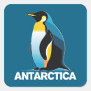 Sök efter antarctic klistermärken För alla