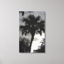 Sök efter florida konst Usa