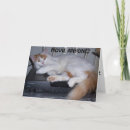 Sök efter roligt kattfoto kort Människor (allmänt)