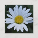 Sök efter daisy visitkort Blomma