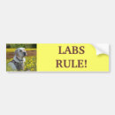 Sök efter gullig hund bildekaler Labrador