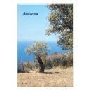 Sök efter mallorca posters Medelhavet