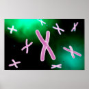 Sök efter cellbiologi posters Medicin