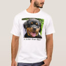 Sök efter förmiddag den gulliga Hund