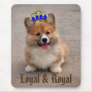 Sök efter corgi musmattor Valpar