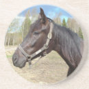 Sök efter hästar underlägg Gård