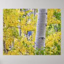 Sök efter aspen posters Gult