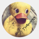 Sök efter duckie klistermärken Leksak