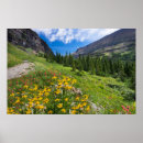 Sök efter landskap målning posters Vilda blommor