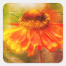 Sök efter zinnias klistermärken Blommigt