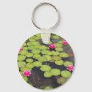 Sök efter lilypads Näckrosor